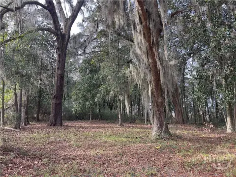 Marsh View Homesite Opportunity