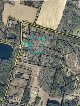 Buildable Land in Collins, GA