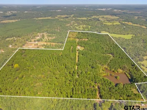 Managed Timberland Hunting Property