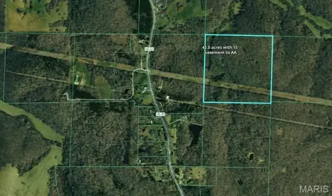 Wooded Hunting and Recreation Land