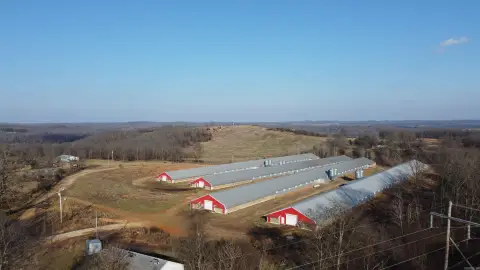 Ravenden, AR Chicken Houses