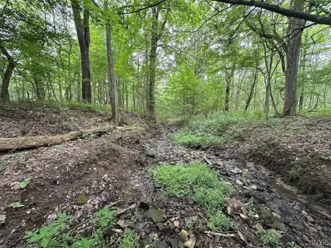 Wooded Waterfront Hunting Land
