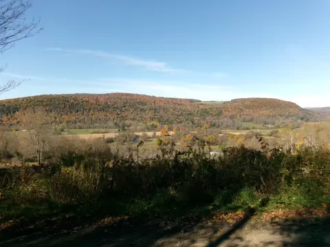 Wooded Hunting and Timberland