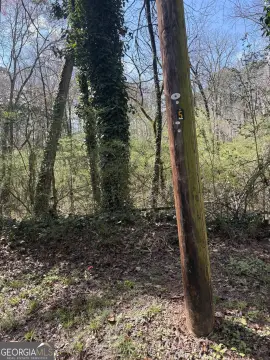 Residential Land in Prime Location