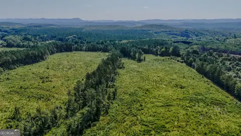 Agricultural Land with Creek