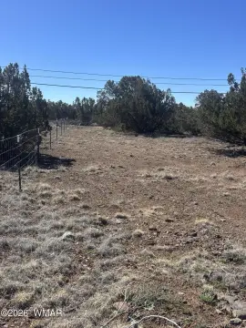 Land with Lake Privileges