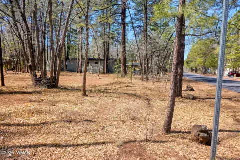 Land Parcel in Pinetop, AZ