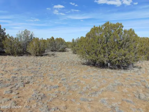 Land in Vernon, Arizona