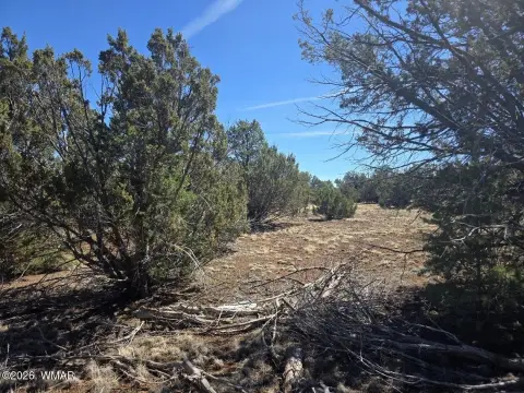 Vernon, AZ Land Available