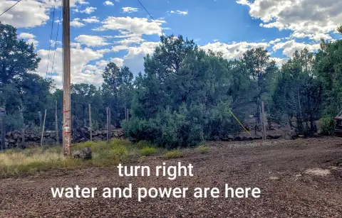 Land For Sale, Vernon, AZ