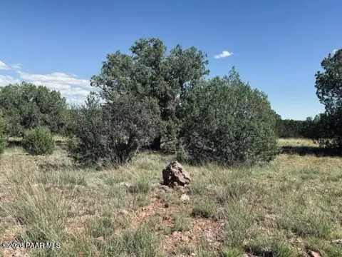 Seligman, AZ 10-Acre Land Parcel
