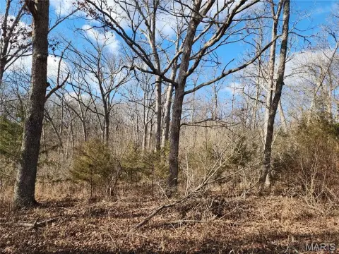 Wooded Lot in Evergreen Lakes