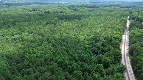 Timber and Recreation Land Tract