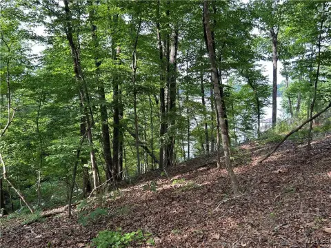 Waterfront Lot in Edgewater Subdivision