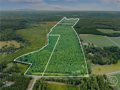 232 Acres of Undeveloped Land