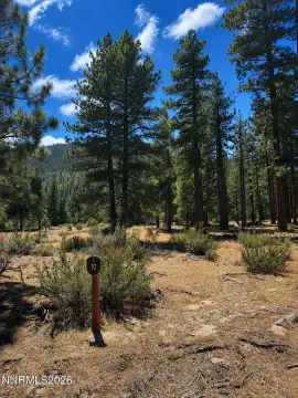 Gently Sloping Mountain Homesite