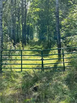 Ray, MN Hunting Land