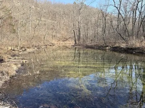 Ozark Hunting Land with Creeks