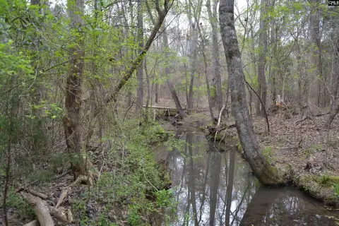 Irmo Acreage with Creek