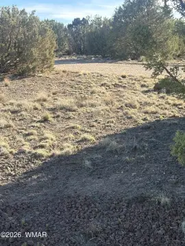 Land with Lake Rights