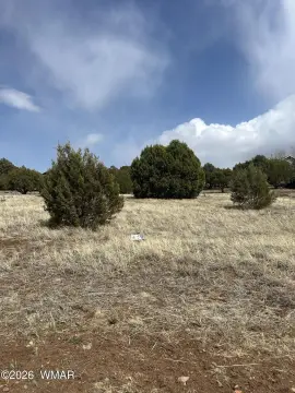 Residential Land in Show Low