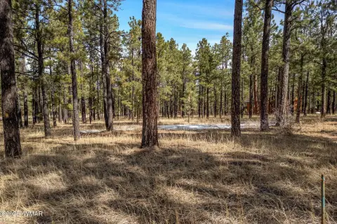 Greer, Arizona 1-Acre Lot