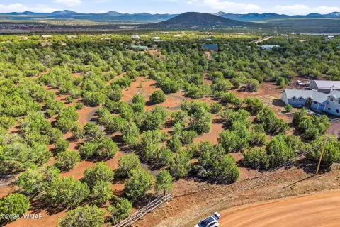 Land in White Mountains, Arizona