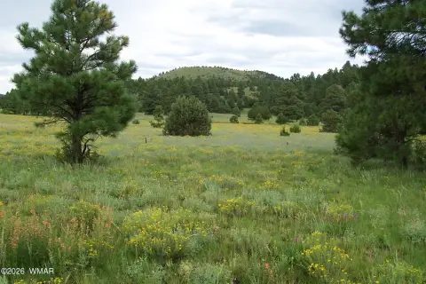 Mountain Retreat Home Site