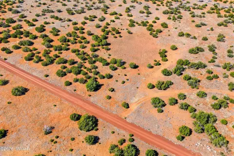 Concho, AZ 1.03-Acre Land
