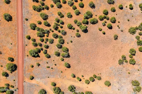 Concho, AZ 1.03-Acre Land