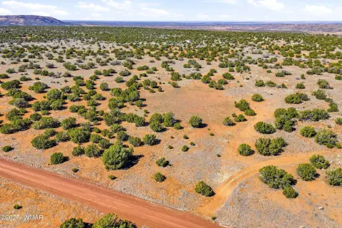 Concho, AZ Land Parcel