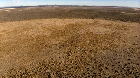 20 Acres of Level Land