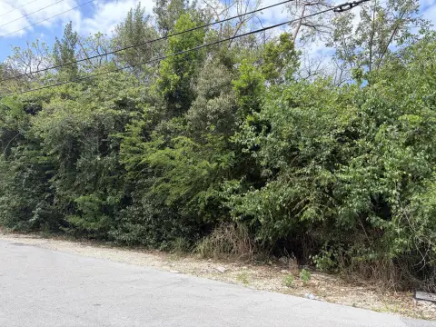 Vacant Land in Key Largo