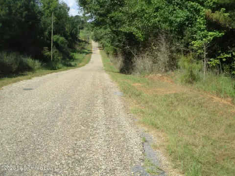 Wooded Recreational Land