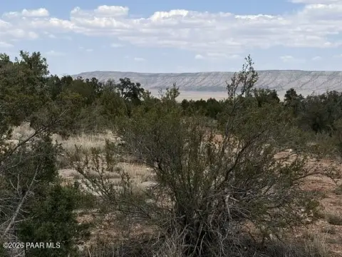 Seligman Land with Owner Financing