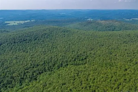 Heavily Wooded Hunting Land