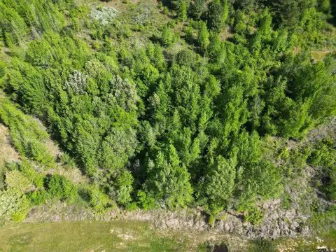 Spacious 1-Acre Lot, Pittsburg, TX