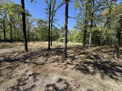 Conway Land for Dream Home