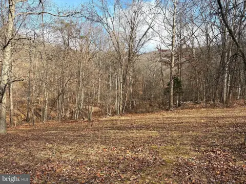 Wooded Acreage in Old Fields