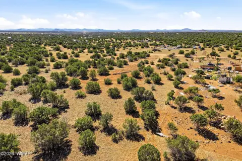 Treed Land Near Downtown
