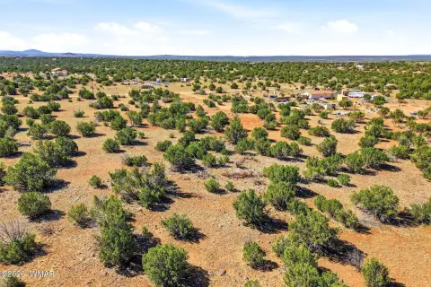 Treed Land Near Downtown