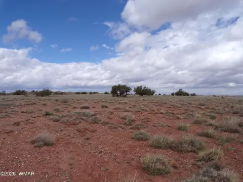 Land with Mountain Views