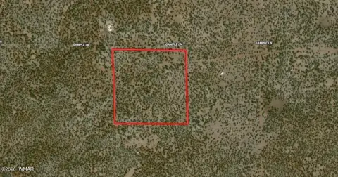 39.8 Acres in Show Low