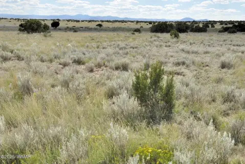 Remote Land with Grazing Potential