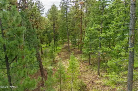 Greer, AZ Land For Sale