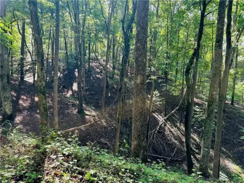 Wooded Land Near Downtown Dahlonega