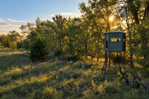 Hunting Land with Creek Corridor