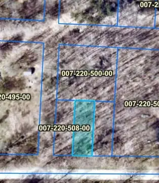 Wooded Land Parcel