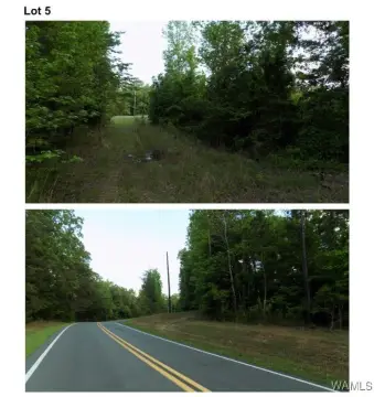 Residential Land in Tuscaloosa, AL