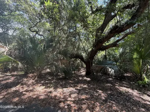 Bald Head Island Lot For Sale
